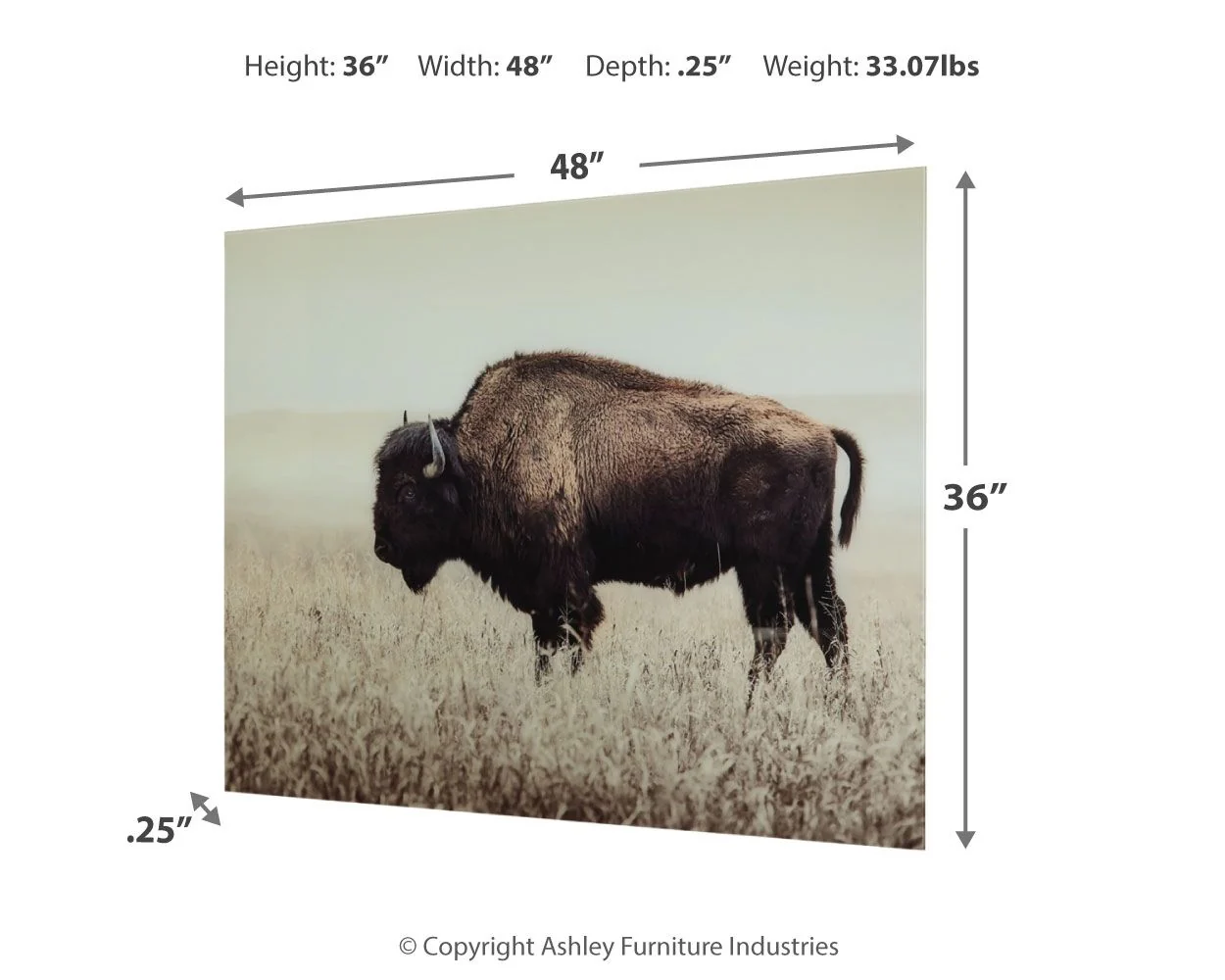 Brutus - Wall Art - Sepia - Image 4