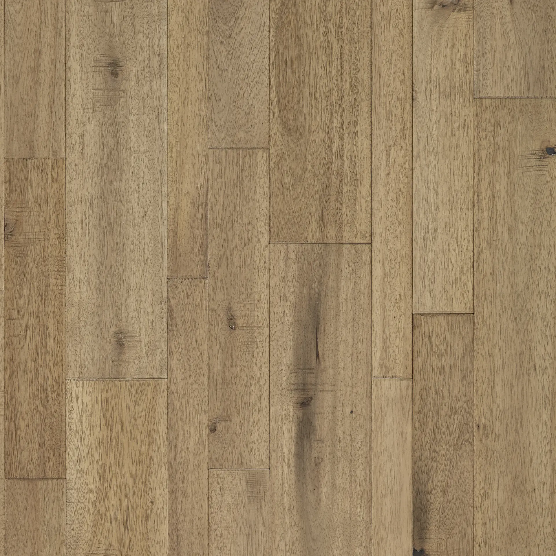 Mannington - Bengal Bay Random - Sand Engineered Hardwood Flooring - Image 5